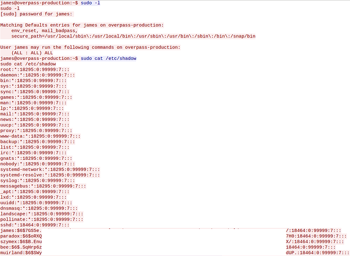 How did the attacker establish persistence