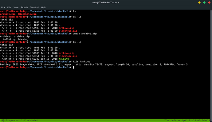 root%40TheHackerToday%3A%20~_295